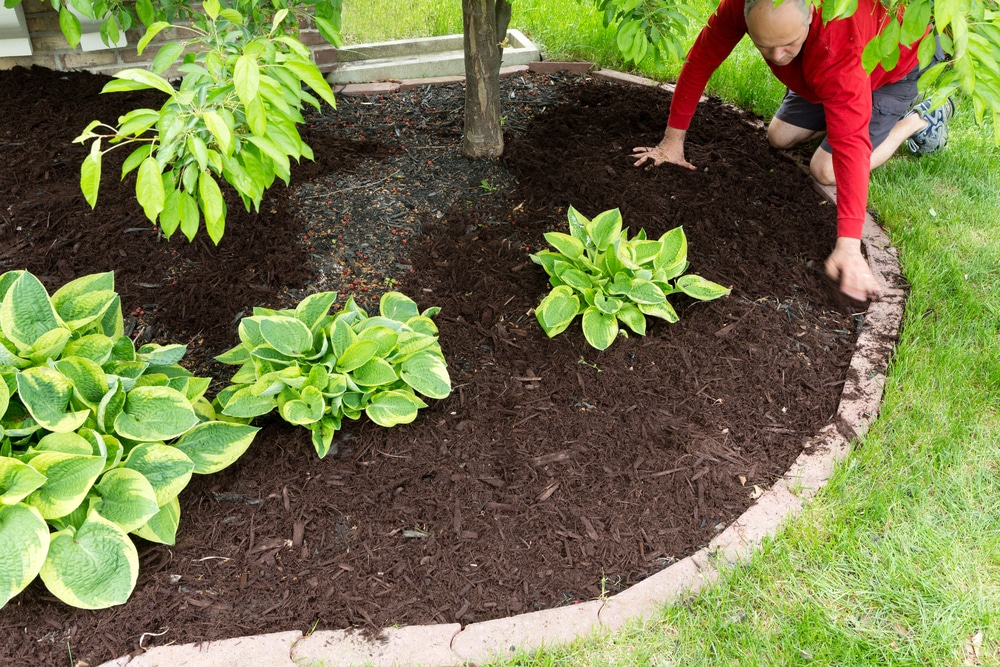 man tending to plants laid next to brick edging