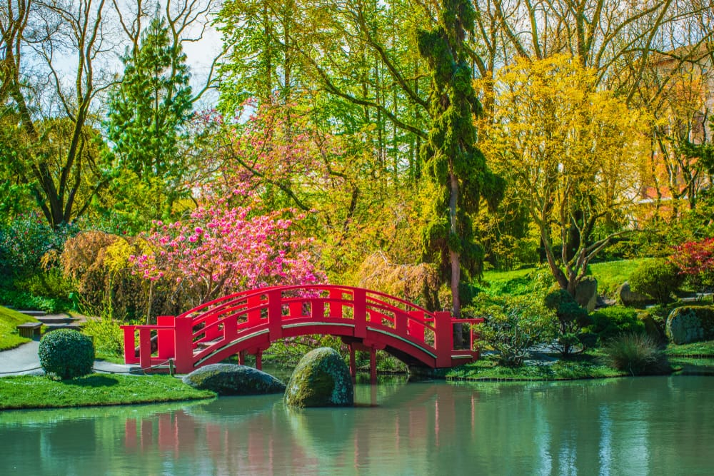 huge japanese garden with red bridge over water