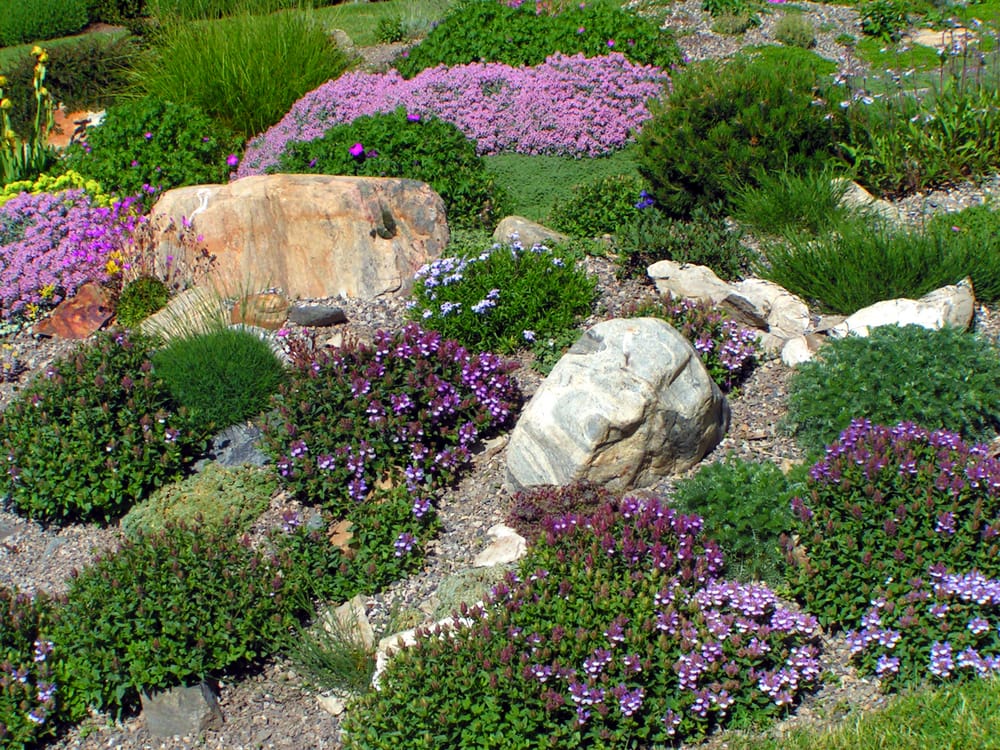 a rock garden in the uk