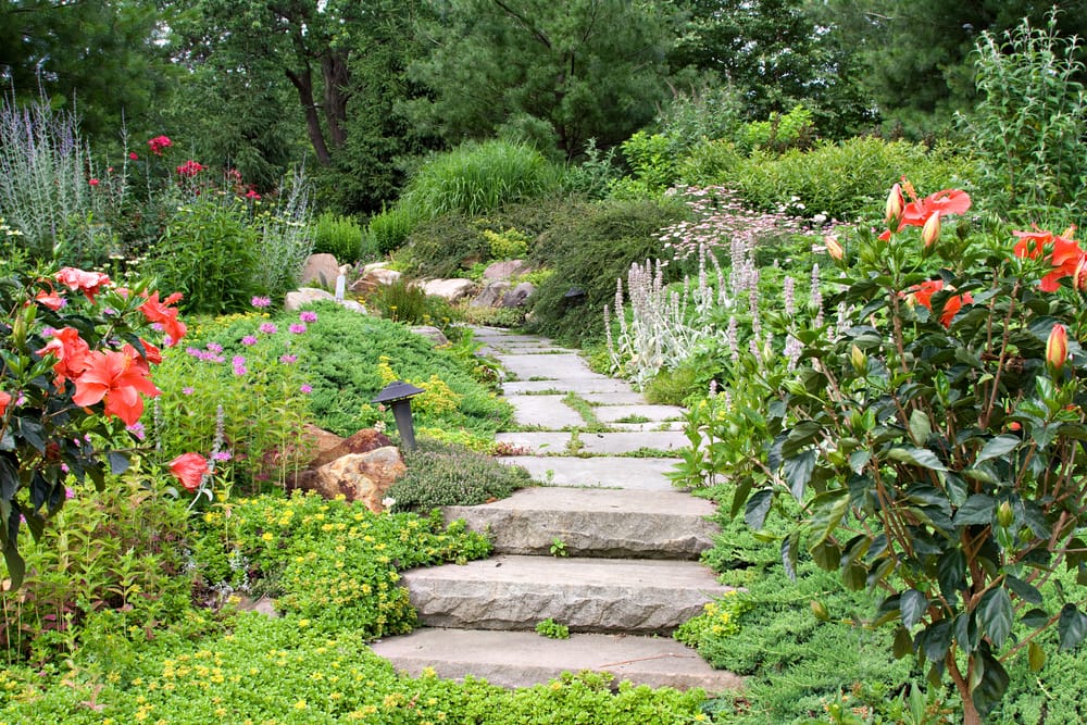 beautiful nature path through a lush green garden
