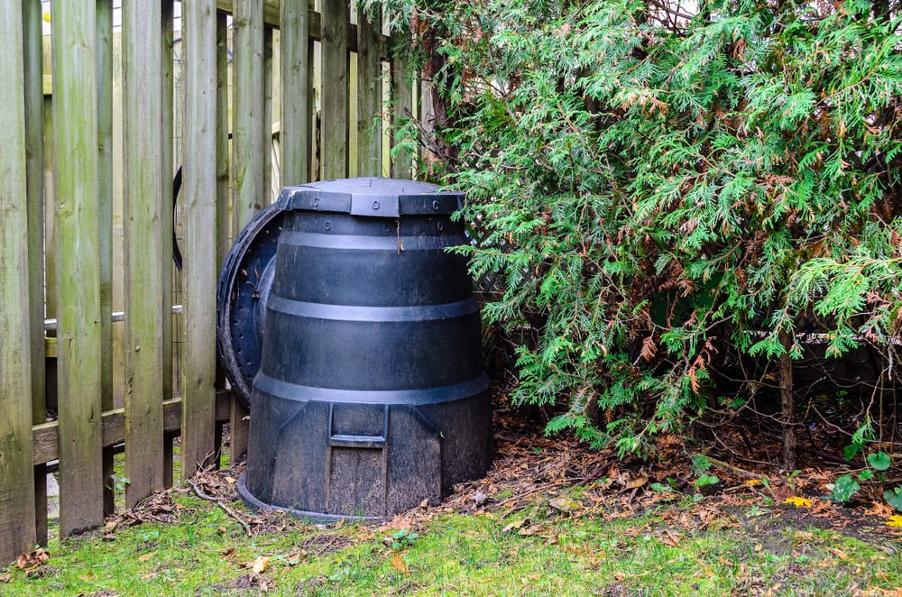black compost bin next to a hedge and fencing