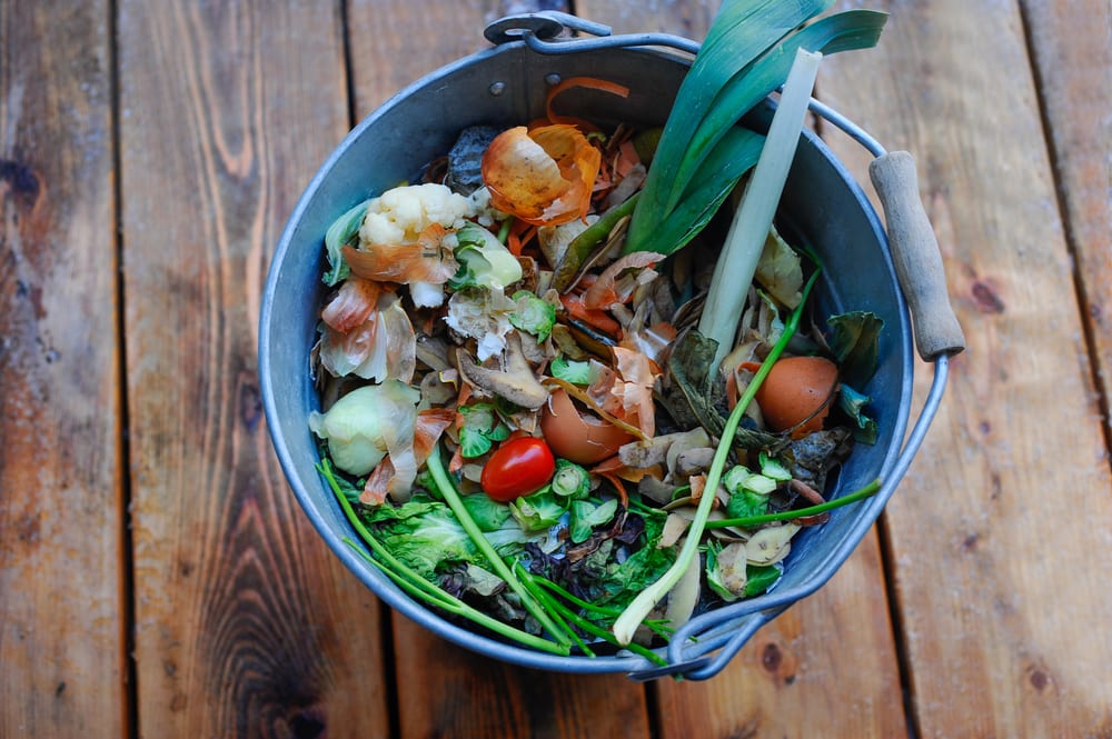 metal bucket full of organic waste